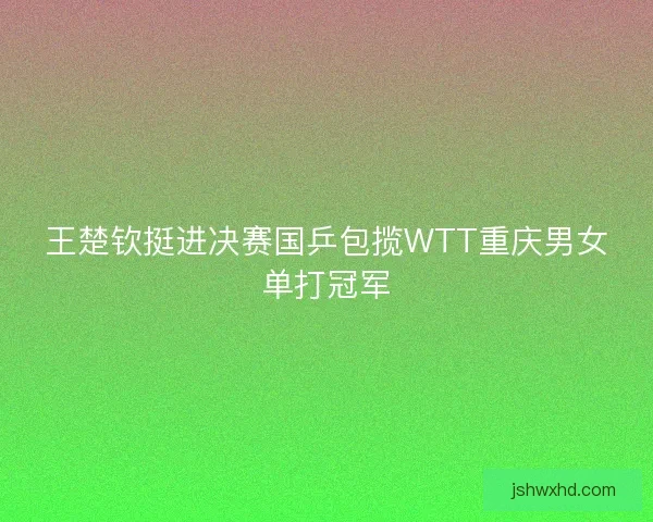 王楚钦挺进决赛国乒包揽WTT重庆男女单打冠军